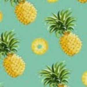 Meet your Posher, Monica